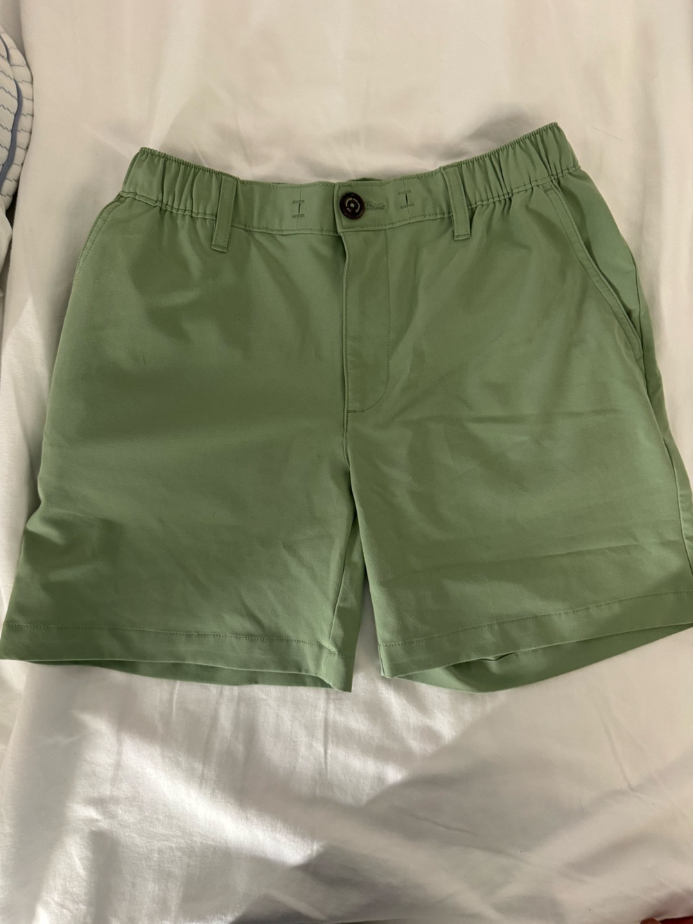 Men's Chubbies Shorts in Sage Green, Casual Shortstop